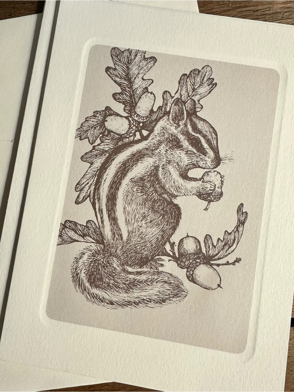 Vintage Current Woodland Collection Note Cards 5 Blank Wildlife Envelopes